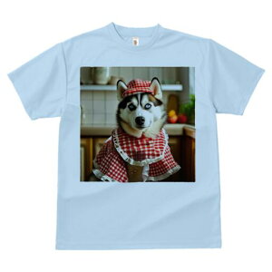 VxAnXL[ TVc  j[NfUCfB[X t@  t vg lJWA 킢 lԗp Mtg I ҏ΍ Gv VxAnXL[ Xq L