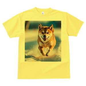 Č TVc  j[NfUCfB[X t@  t vg lJWA 킢 lԗp Mtg I ҏ΍  Č ~ Ί z