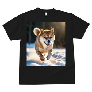 Č TVc  j[NfUCfB[X t@  t vg lJWA 킢 lԗp Mtg I ҏ΍  Č ~ z 