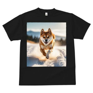 Č TVc  j[NfUCfB[X t@  t vg lJWA 킢 lԗp Mtg I ҏ΍  Č ~ R