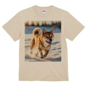 Č TVc  j[NfUCfB[X t@  t vg lJWA 킢 lԗp Mtg I ҏ΍  Č ~ AEghA