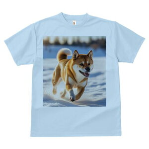 Č TVc  j[NfUCfB[X t@  t vg lJWA 킢 lԗp Mtg I ҏ΍  Č ~ AEghA