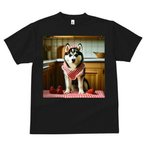 nXL[ TVc  j[NfUCfB[X t@  t vg lJWA 킢 lԗp Mtg I ҏ΍ C`S nXL[ Lb`