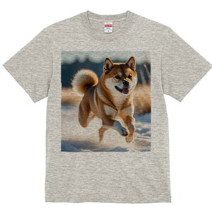 Č TVc  j[NfUCfB[X t@  t vg lJWA 킢 lԗp Mtg I ҏ΍  Č