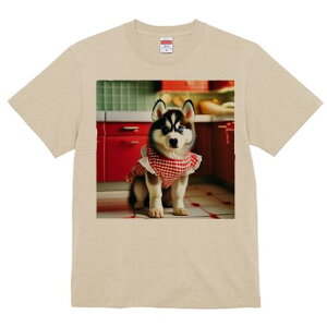 VxAnXL[ TVc  j[NfUCfB[X t@  t vg lJWA 킢 lԗp Mtg I ҏ΍ Gv VxAnXL[ Lb`