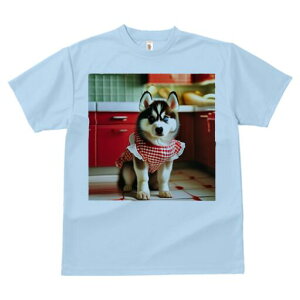 VxAnXL[ TVc  j[NfUCfB[X t@  t vg lJWA 킢 lԗp Mtg I ҏ΍ Gv VxAnXL[ Lb`