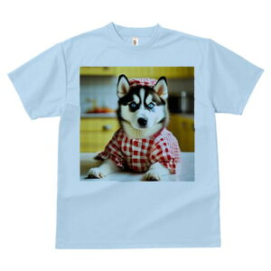 nXL[ TVc  j[NfUCY LbY t@  t vg lJWA 킢 lԗp Mtg I ҏ΍ Gv nXL[ `FbN