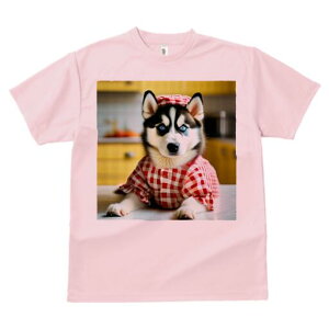 nXL[ TVc  j[NfUCfB[X t@  t vg lJWA 킢 lԗp Mtg I ҏ΍ Gv nXL[ `FbN