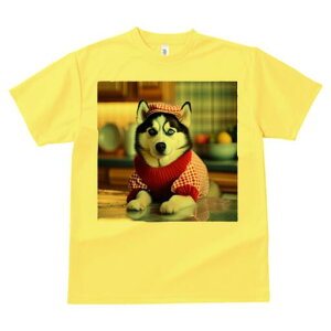 VxAnXL[ TVc  j[NfUCfB[X t@  t vg lJWA 킢 lԗp Mtg I ҏ΍ Xq VxAnXL[ ԃ`FbN 