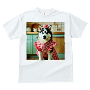 VxAnXL[ TVc  j[NfUCfB[X t@  t vg lJWA 킢 lԗp Mtg I ҏ΍ MK`FbN VxAnXL[