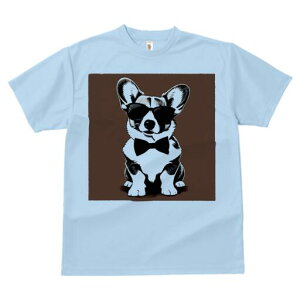 R[M[ TVc  j[NfUCfB[X t@  t vg lJWA 킢 lԗp Mtg I ҏ΍ TOX R[M[ lN^C