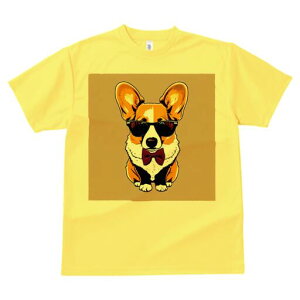 R[M[ TVc  j[NfUCfB[X t@  t vg lJWA 킢 lԗp Mtg I ҏ΍ TOX R[M[ lN^C