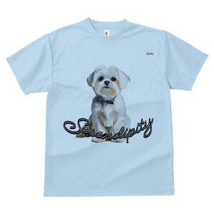 }`[Y TVc  j[NfUCfB[X t@  t vg lJWA 킢 lԗp Mtg I ҏ΍ }`[Y