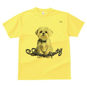 }`[Y TVc  j[NfUCfB[X t@  t vg lJWA 킢 lԗp Mtg I ҏ΍ }`[Y