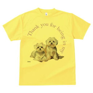 }`[Y TVc  j[NfUCfB[X t@  t vg lJWA 킢 lԗp Mtg I ҏ΍ }`[Y