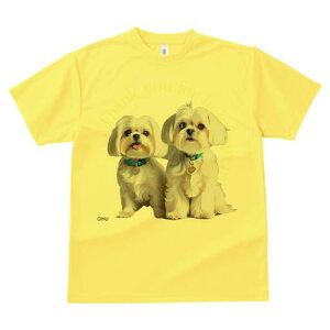 }`[Y TVc  j[NfUCfB[X t@  t vg lJWA 킢 lԗp Mtg I ҏ΍ }`[Y