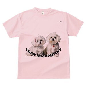 }`[Y TVc  j[NfUCfB[X t@  t vg lJWA 킢 lԗp Mtg I ҏ΍ }`[Y