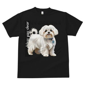 }`[Y TVc  j[NfUCfB[X t@  t vg lJWA 킢 lԗp Mtg I ҏ΍ }`[Y