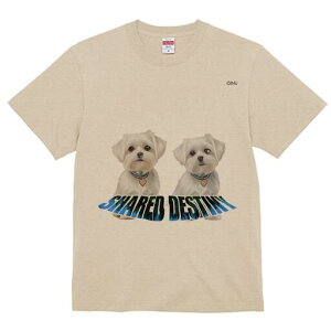 }`[Y TVc  j[NfUCfB[X t@  t vg lJWA 킢 lԗp Mtg I ҏ΍ }`[Y