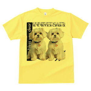 }`[Y TVc  j[NfUCfB[X t@  t vg lJWA 킢 lԗp Mtg I ҏ΍ }`[Y