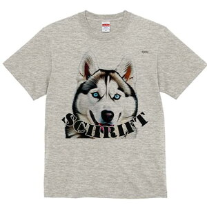 VxAnXL[ TVc  j[NfUCfB[X t@  t vg lJWA 킢 lԗp Mtg I ҏ΍ VxAnXL[