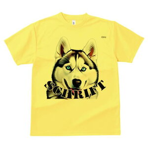 VxAnXL[ TVc  j[NfUCfB[X t@  t vg lJWA 킢 lԗp Mtg I ҏ΍ VxAnXL[