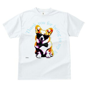 R[M[ TVc  j[NfUCfB[X t@  t vg lJWA 킢 lԗp Mtg I ҏ΍ TOX R[M[ lN^C