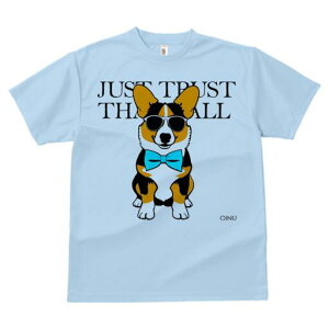 R[M[ TVc  j[NfUCfB[X t@  t vg lJWA 킢 lԗp Mtg I ҏ΍ TOX R[M[ lN^C