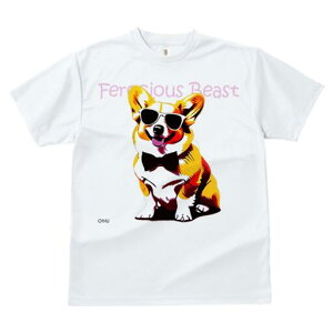 R[M[ TVc  j[NfUCfB[X t@  t vg lJWA 킢 lԗp Mtg I ҏ΍ TOX R[M[ lN^C