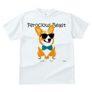 R[M[ TVc  j[NfUCfB[X t@  t vg lJWA 킢 lԗp Mtg I ҏ΍ TOX R[M[ lN^C