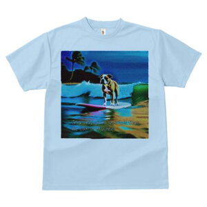 {NT[ TVc  j[NfUCfB[X t@  t vg lJWA 킢 lԗp Mtg I ҏ΍ T[tB {NT[ C g r[`