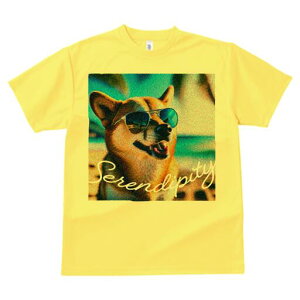 Č TVc  j[NfUCfB[X t@  t vg lJWA 킢 lԗp Mtg I ҏ΍ TOX Č r[`