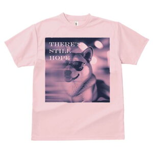 Č TVc  j[NfUCfB[X t@  t vg lJWA 킢 lԗp Mtg I ҏ΍ TOX Č