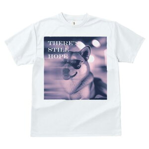 Č TVc  j[NfUCfB[X t@  t vg lJWA 킢 lԗp Mtg I ҏ΍ TOX Č