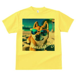 Č TVc  j[NfUCfB[X t@  t vg lJWA 킢 lԗp Mtg I ҏ΍ TOX Č r[`