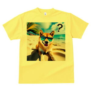 Č TVc  j[NfUCfB[X t@  t vg lJWA 킢 lԗp Mtg I ҏ΍ TOX Č r[` C ^╄