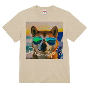 Č TVc  j[NfUCfB[X t@  t vg lJWA 킢 lԗp Mtg I ҏ΍ TOX Č