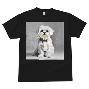 }`[Y TVc  j[NfUCfB[X t@  t vg lJWA 킢 lԗp Mtg I ҏ΍ }`[Y