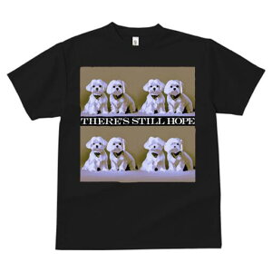 }`[Y TVc  j[NfUCfB[X t@  t vg lJWA 킢 lԗp Mtg I ҏ΍ }`[Y