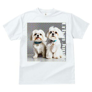 }`[Y TVc  j[NfUCfB[X t@  t vg lJWA 킢 lԗp Mtg I ҏ΍ }`[Y