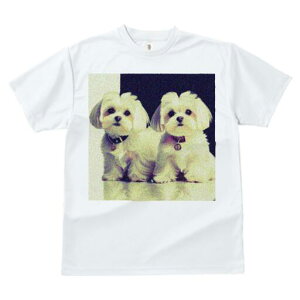 }`[Y TVc  j[NfUCfB[X t@  t vg lJWA 킢 lԗp Mtg I ҏ΍ }`[Y