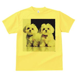 }`[Y TVc  j[NfUCfB[X t@  t vg lJWA 킢 lԗp Mtg I ҏ΍ }`[Y