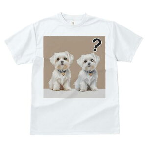 }`[Y TVc  j[NfUCfB[X t@  t vg lJWA 킢 lԗp Mtg I ҏ΍ ^╄ }`[Y