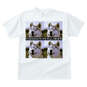 Hc TVc  j[NfUCfB[X t@  t vg lJWA 킢 lԗp Mtg I ҏ΍ Hc