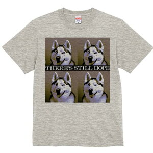 VxAnXL[ TVc  j[NfUCfB[X t@  t vg lJWA 킢 lԗp Mtg I ҏ΍ VxAnXL[