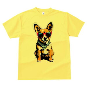 R[M[ TVc  j[NfUCfB[X t@  t vg lJWA 킢 lԗp Mtg I ҏ΍ TOX R[M[ o_i