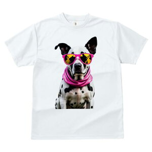 _VA TVc  j[NfUCfB[X t@  t vg lJWA 킢 lԗp Mtg I ҏ΍ TOX _VA XJ[t