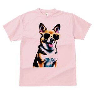 R[M[ TVc  j[NfUCfB[X t@  t vg lJWA 킢 lԗp Mtg I ҏ΍ TOX R[M[