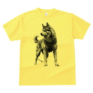 nXL[ TVc  j[NfUCfB[X t@  t vg lJWA 킢 lԗp Mtg I ҏ΍ Ȃ nXL[