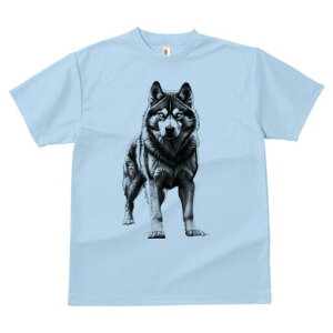 nXL[ TVc  j[NfUCfB[X t@  t vg lJWA 킢 lԗp Mtg I ҏ΍ nXL[